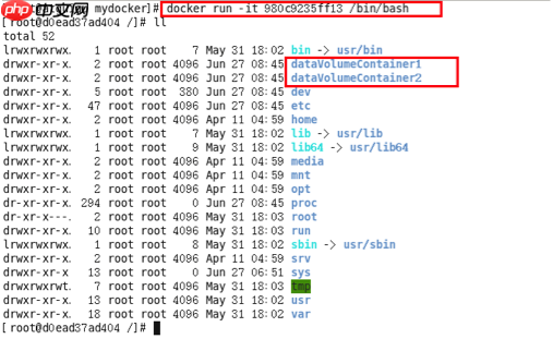 Docker之容器数据卷