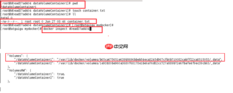 Docker之容器数据卷