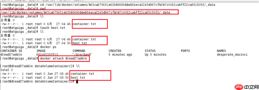 Docker之容器数据卷