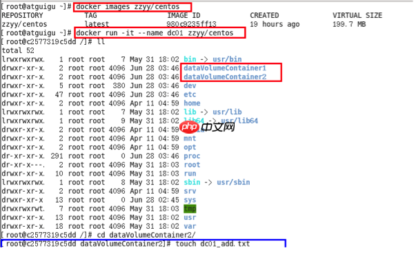 Docker之容器数据卷