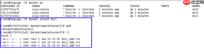 Docker之容器数据卷
