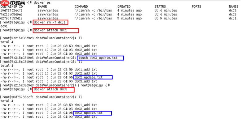 Docker之容器数据卷
