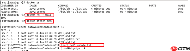 Docker之容器数据卷