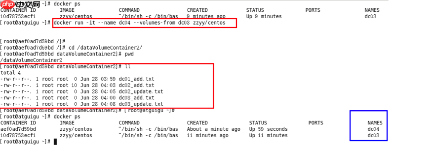 Docker之容器数据卷
