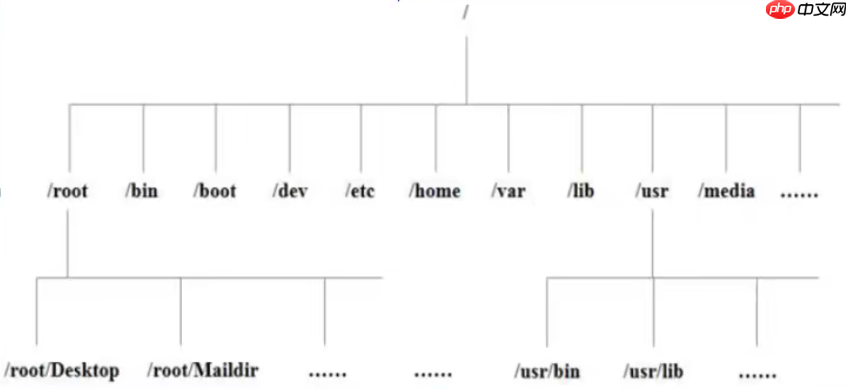 玩转Liunx系统，看这篇文章就够了(一)