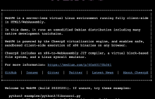Wasm 玩出花？在浏览器中运行虚拟机！