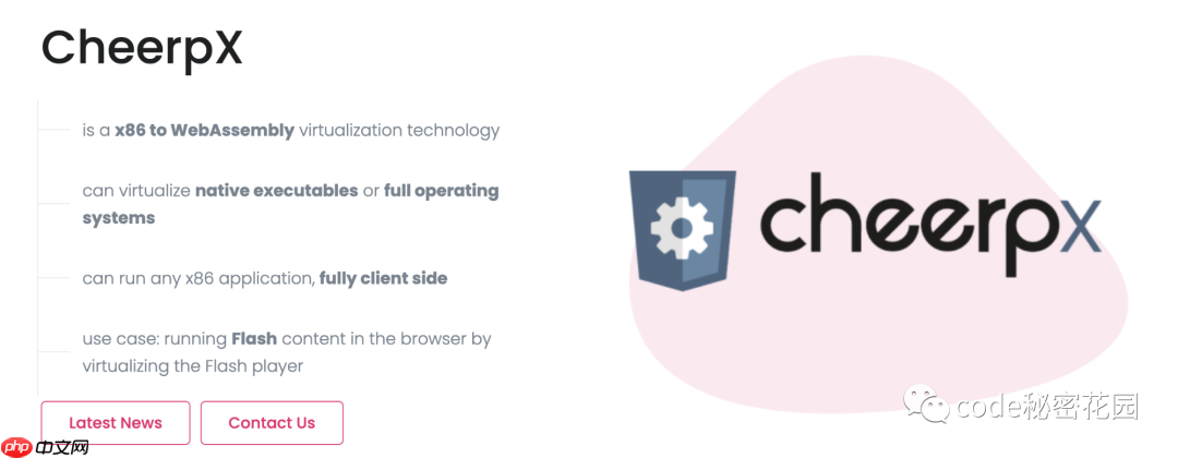 Wasm 玩出花?在浏览器中运行虚拟机!