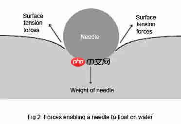 生活中的科学（一）——表面张力