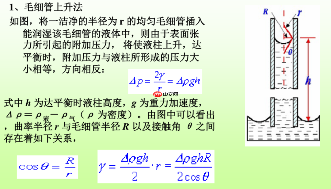 生活中的科学(一)——表面张力