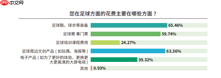 《中国足球环境及未来发展白皮书（2025）》发布：100吋大屏电视成标配