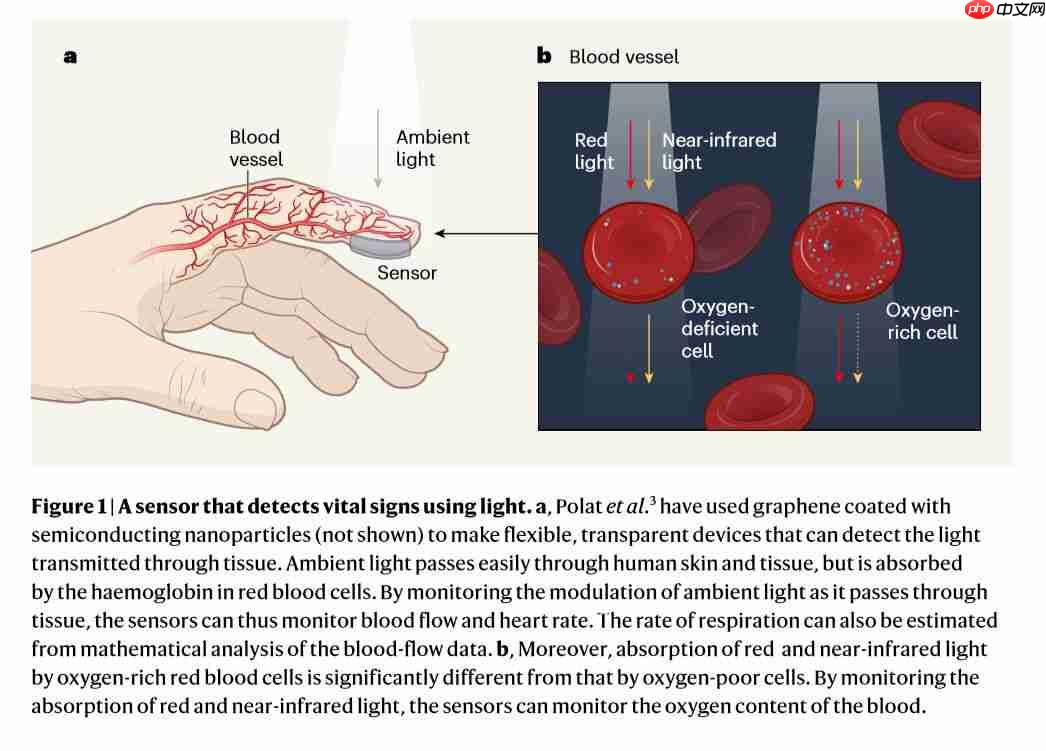 石墨烯在可穿戴设备上的应用
