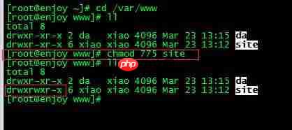 linux系统搭建ftp服务器及创建用户——centos7.3「建议收藏」