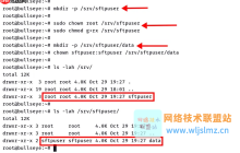 如何在 Linux 服务器上安装和使用 SFTP？