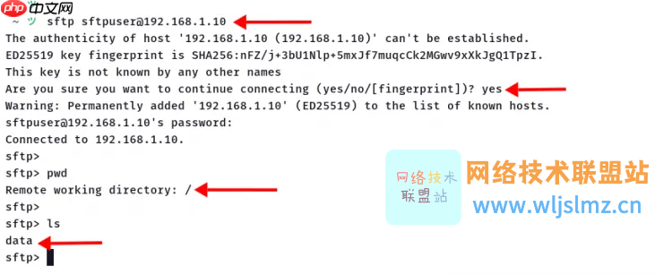 如何在 Linux 服务器上安装和使用 SFTP?