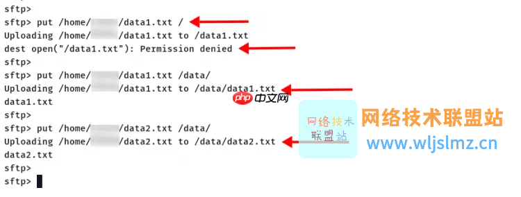 如何在 Linux 服务器上安装和使用 SFTP?