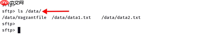 如何在 Linux 服务器上安装和使用 SFTP?