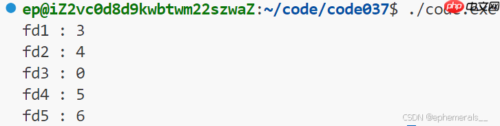 【Linux】基础文件IO