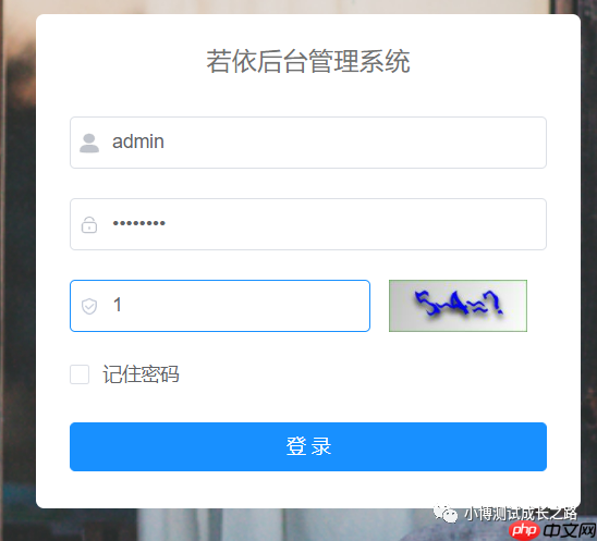 测试项目实战----RuoYi后台管理系统