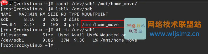 如何在 Linux 中将主目录移动到新分区或磁盘?