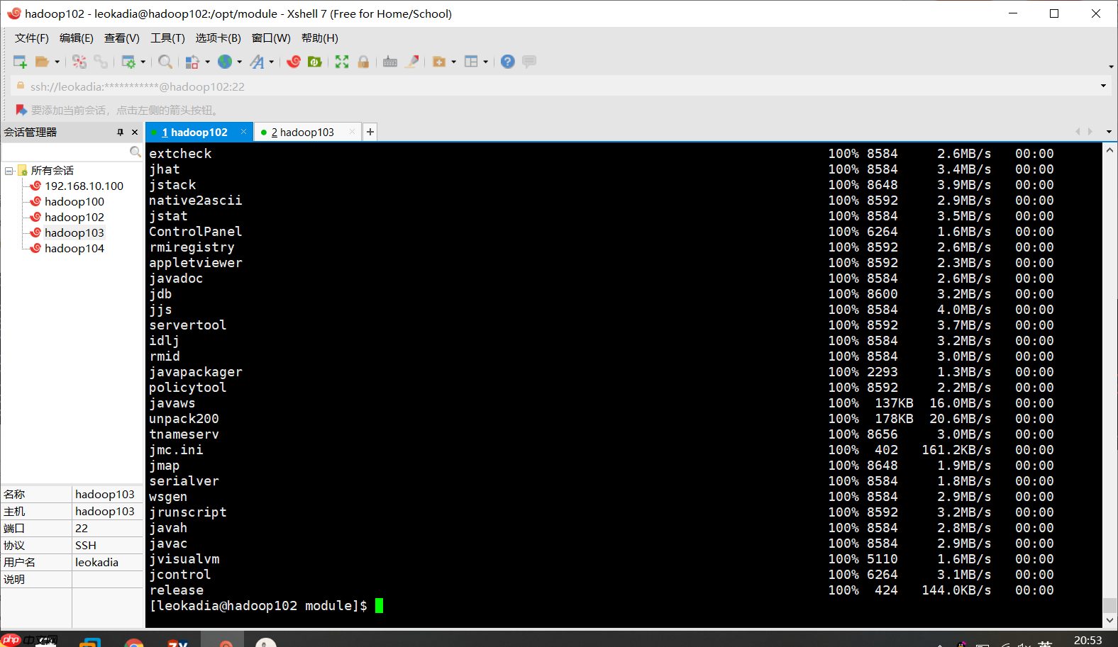 Hadoop入门(八)——本地运行模式+完全分布模式案例详解，实现WordCount和集群分发脚本xsync快速配置环境变量 （图文详解步骤2021）[通俗易懂]
