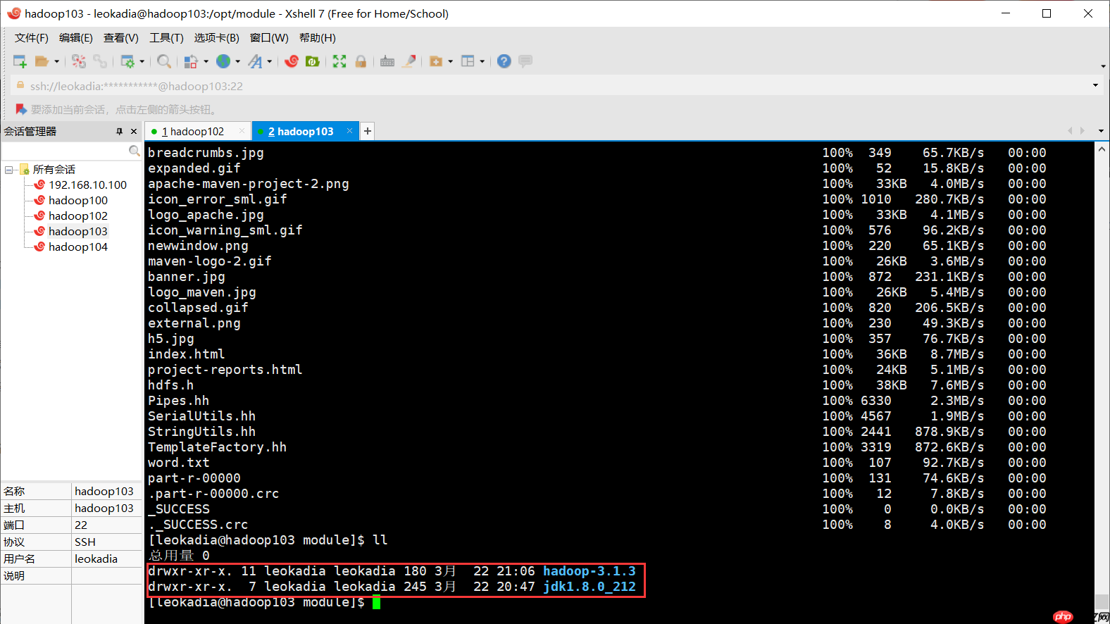 Hadoop入门(八)——本地运行模式+完全分布模式案例详解，实现WordCount和集群分发脚本xsync快速配置环境变量 （图文详解步骤2021）[通俗易懂]
