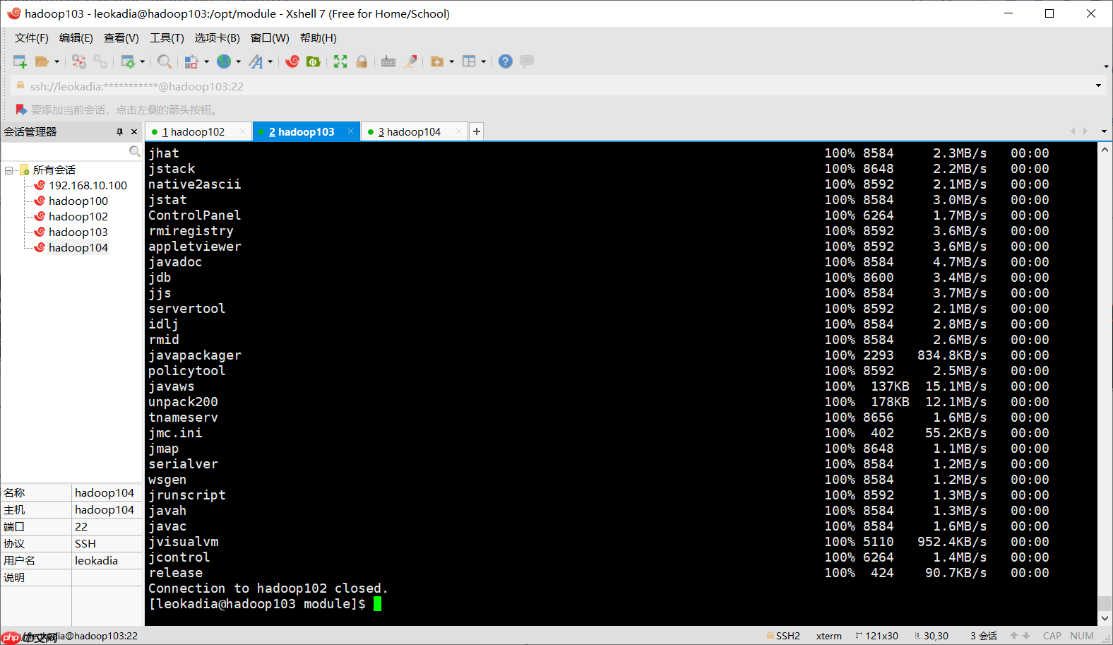 Hadoop入门(八)——本地运行模式+完全分布模式案例详解，实现WordCount和集群分发脚本xsync快速配置环境变量 （图文详解步骤2021）[通俗易懂]