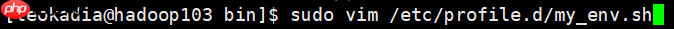 Hadoop入门(八)——本地运行模式+完全分布模式案例详解，实现WordCount和集群分发脚本xsync快速配置环境变量 （图文详解步骤2021）[通俗易懂]
