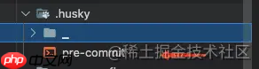 VS Code的Git Control无法正确识别husky(NVM)问题