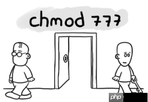 Linux命令万字总结,这次我必拿下! Linux命令万字总结,这次我必拿下!