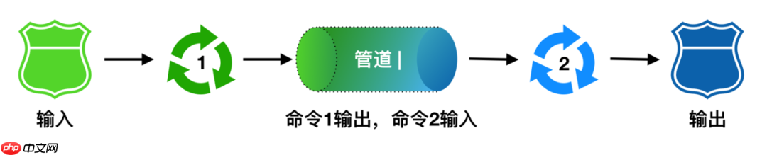 Linux命令万字总结,这次我必拿下! Linux命令万字总结,这次我必拿下!