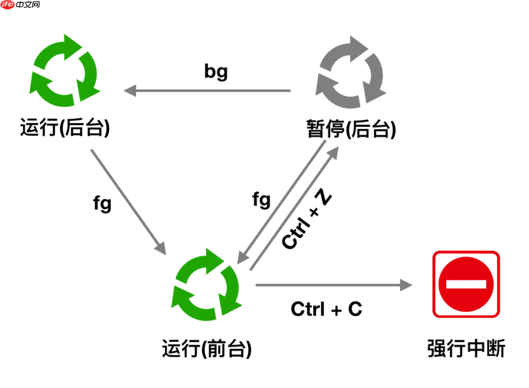 Linux命令万字总结,这次我必拿下! Linux命令万字总结,这次我必拿下!