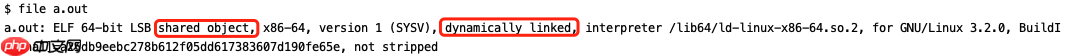 含大量图文解析及例程 | Linux下的ELF文件、链接、加载与库（中）