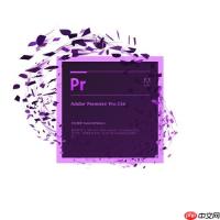 Premiere如何加LUT？如何使用Premiere应用LUT预设详细教程