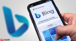 Bing浏览器字体显示异常解决 Bing浏览器网页文字渲染修复