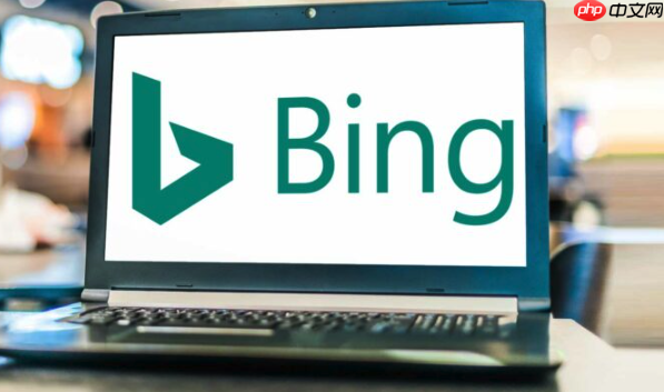 Bing浏览器页面加载缓慢解决 Bing浏览器加速网页打开技巧