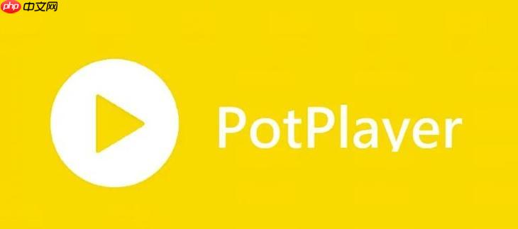 PotPlayer怎么启用杜比音效 PotPlayer高级音频设置