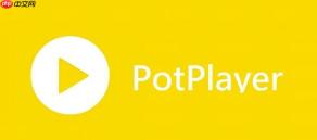 PotPlayer怎么启用杜比音效 PotPlayer高级音频设置
