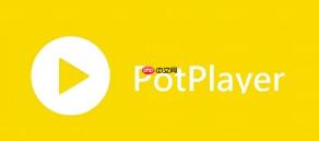 PotPlayer怎么修复花屏 PotPlayer解码问题解决方案