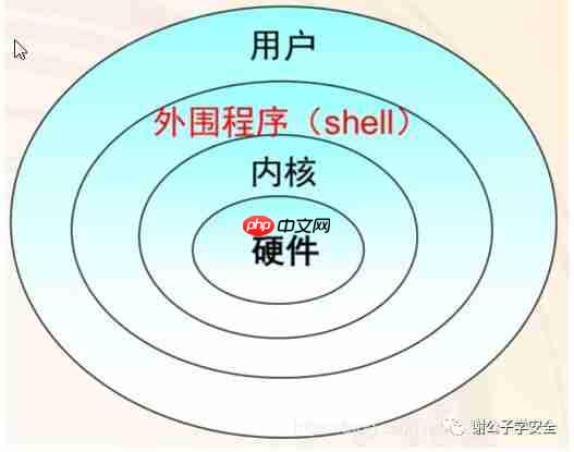 Linux系统安全 | Linux中的Shell和Bash