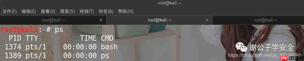 Linux系统安全 | Linux中的Shell和Bash