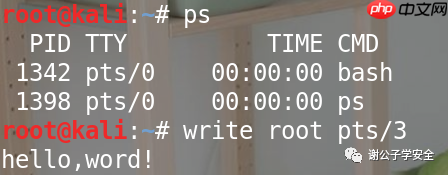 Linux系统安全 | Linux中的Shell和Bash