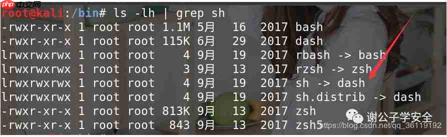 Linux系统安全 | Linux中的Shell和Bash