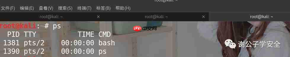 Linux系统安全 | Linux中的Shell和Bash