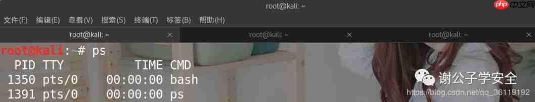 Linux系统安全 | Linux中的Shell和Bash