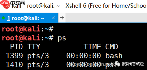 Linux系统安全 | Linux中的Shell和Bash