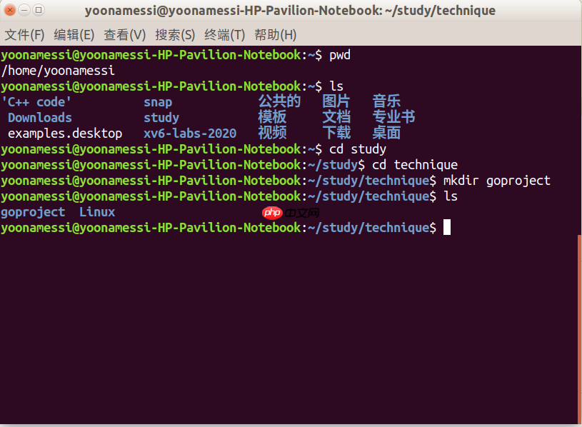 Linux下的第一个Golang程序