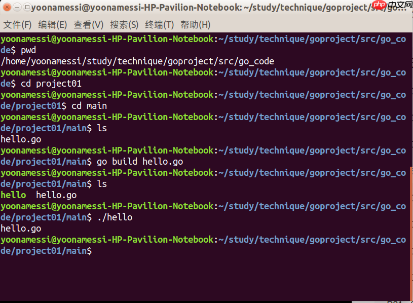 Linux下的第一个Golang程序