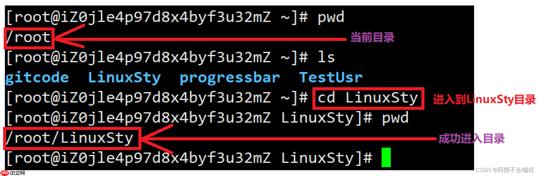 Linux入门必备指令