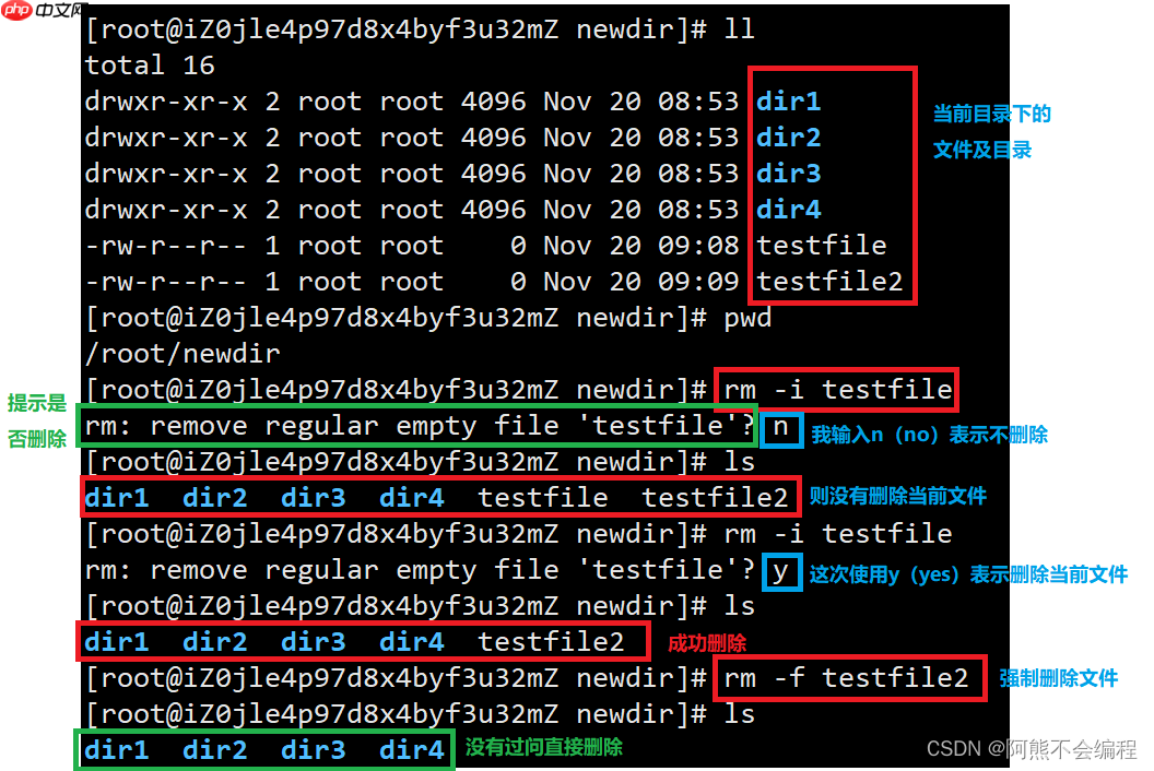 Linux入门必备指令