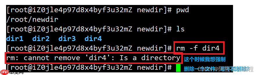 Linux入门必备指令